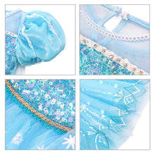 Load image into Gallery viewer, Frozen Princess Dress