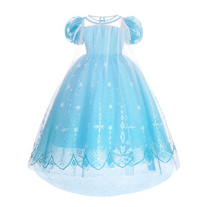 Frozen Princess Dress