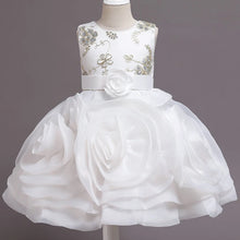 Load image into Gallery viewer, Baby Girls Birthday Party Dress Flower Elegant Dresses