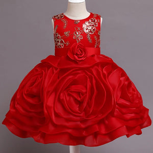 Baby Girls Birthday Party Dress Flower Elegant Dresses