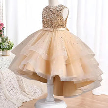 Load image into Gallery viewer, Fluffy Birthday Party Dresses for Girls New Girl Embroidery with Sequins