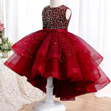 Load image into Gallery viewer, Fluffy Birthday Party Dresses for Girls New Girl Embroidery with Sequins